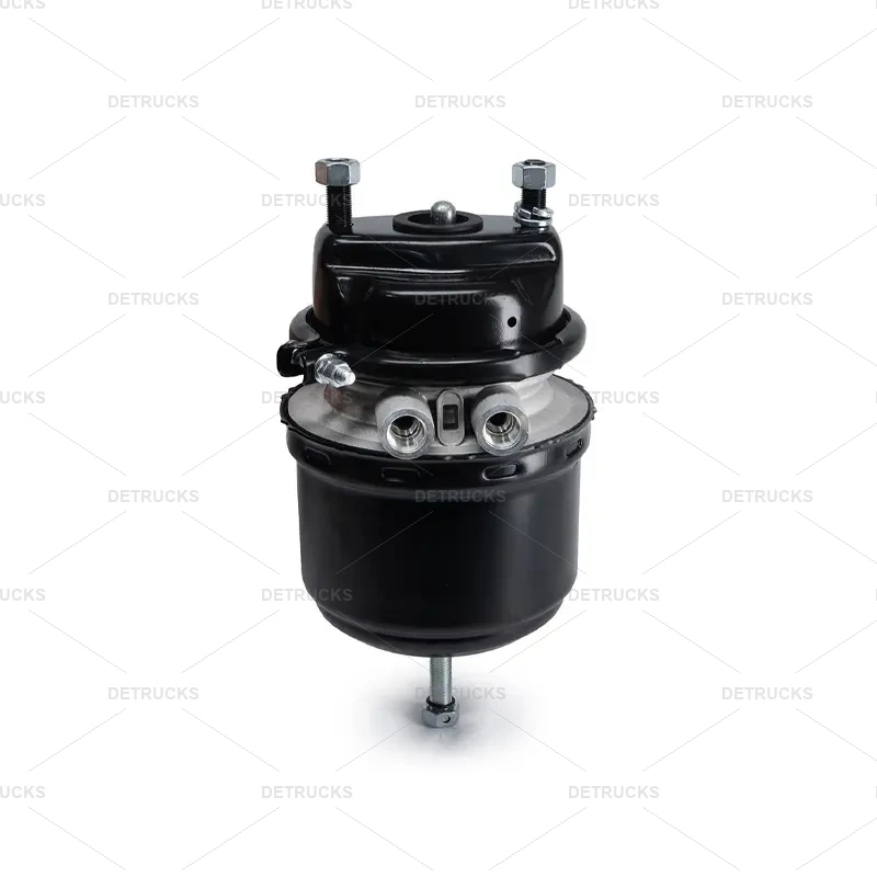 PULMON DE FRENO POSTERIOR P24/30 (M22X1.5