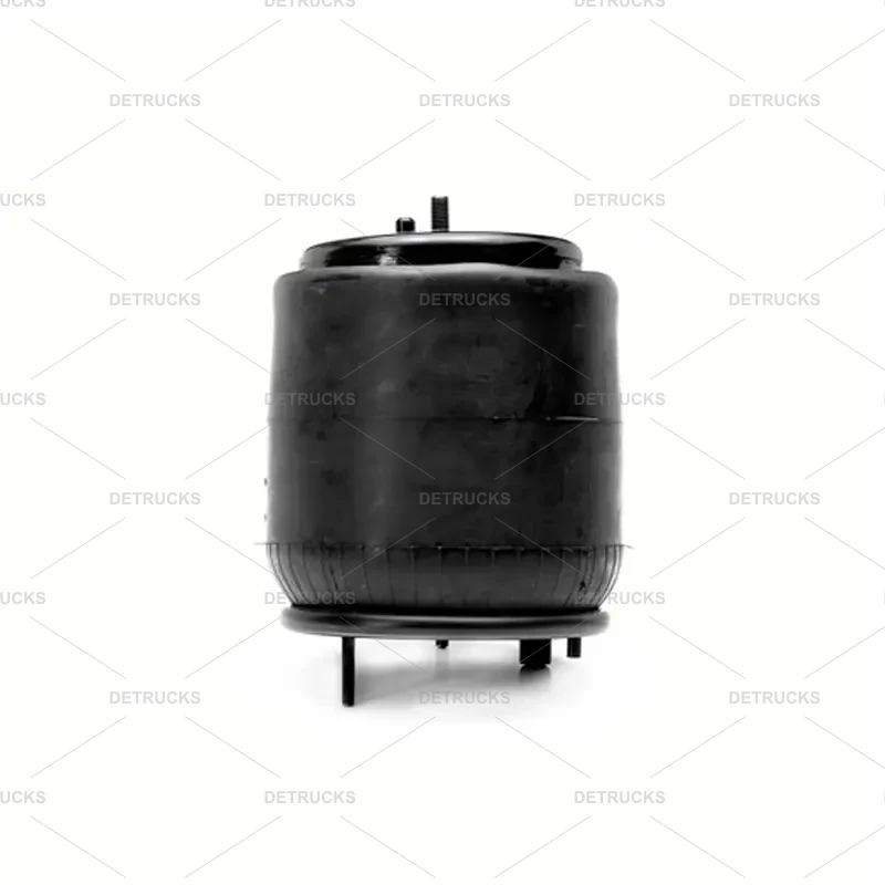 BOLSA DE AIRE POSTERIOR VOLVO FH FM